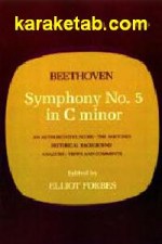 Beethoven Symphony No 5 in C Minor